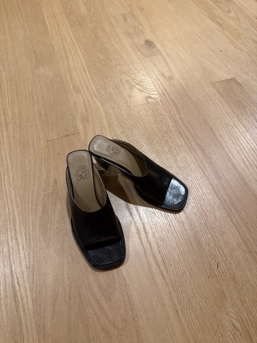 Joan and David mules